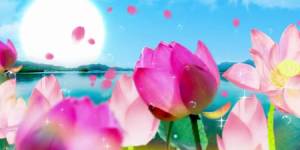 修法